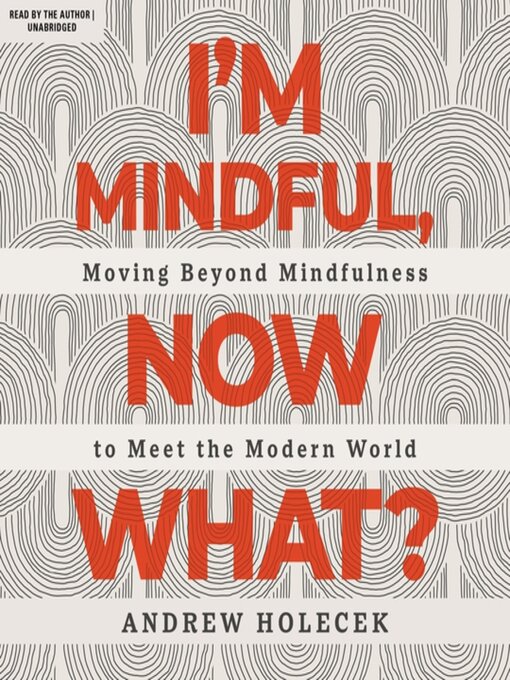 Title details for I'm Mindful, Now What? by Andrew Holecek - Available